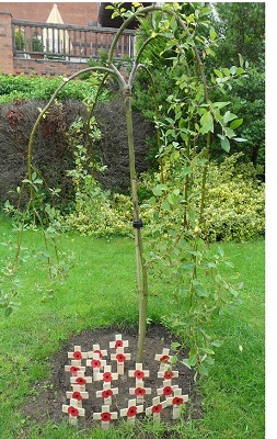 2012_FEPOW_memorial_tree.